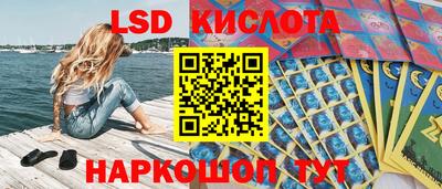 гашик Нарткала