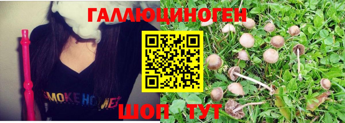 Псилоцибиновые грибы Magic Shrooms Урус-Мартан