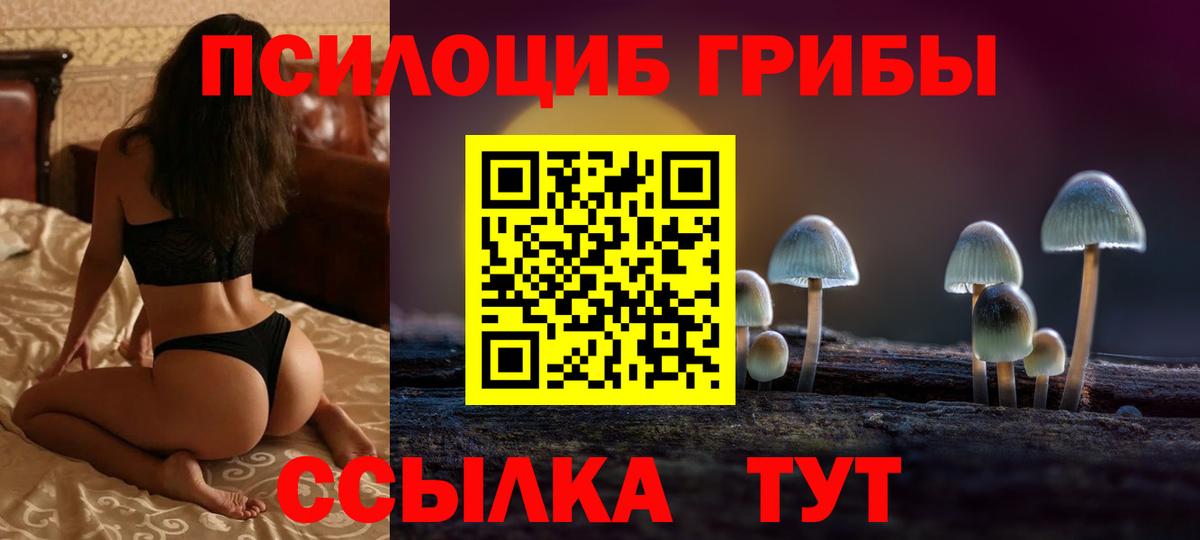 даркнет сайт  Вход с VPN  Урус-Мартан  Галлюциногенные грибы Psilocybe 